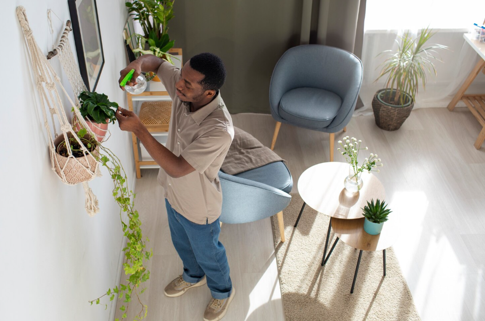 small apartment living room ft